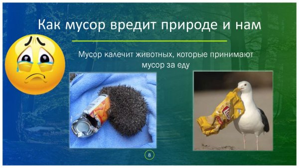 Вред животных для человека и природы