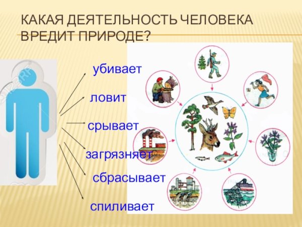 Человек вредит природе