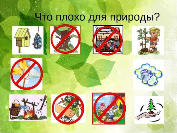 Природе плохо