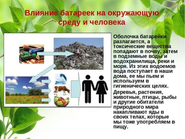 Не мусорить в лесу