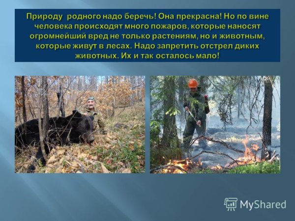 Заводы и машины загрязняют воздух