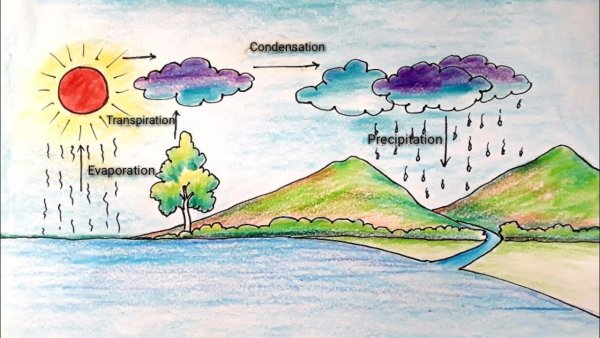 Круговорот воды в природе рисунок карандашом