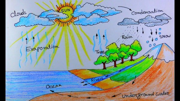 Нарисовать круговорот воды в природе