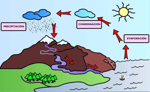 Континентальный круговорот воды
