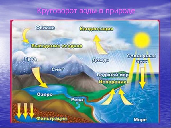 Процесс круговорота воды в природе схема