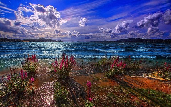 Красивое яркое море