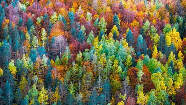 Яркие краски природы