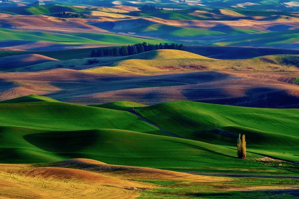 Яркая природа
