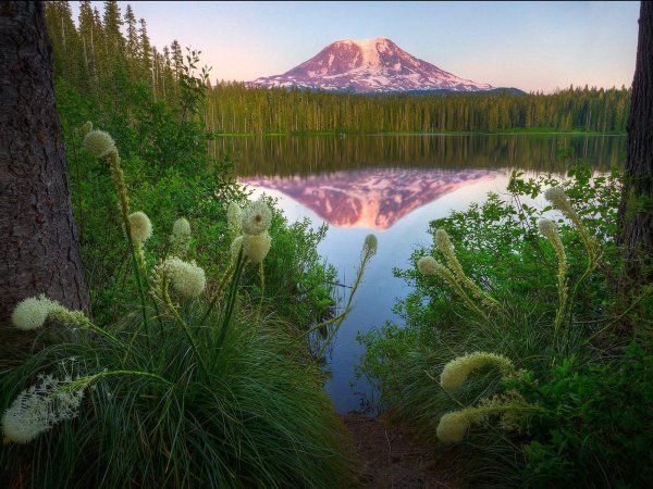 Красивая летняя природа