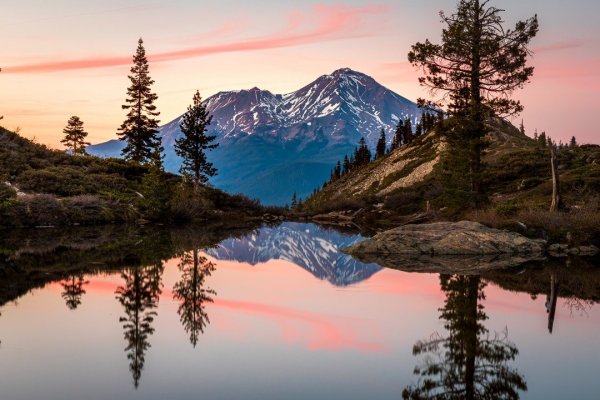Природа с животными
