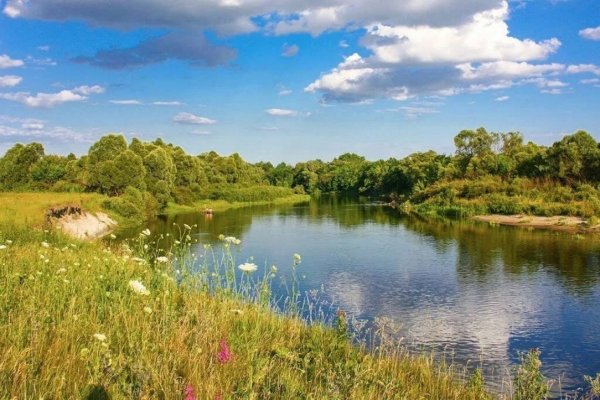 Курский край Сейм