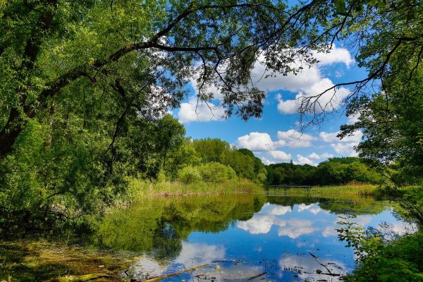 Природа Сейм Курск