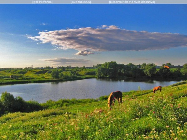 Река Суджа Курская область