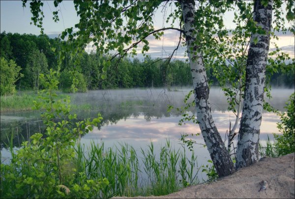 Красивый пейзаж