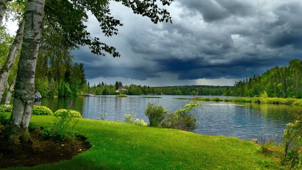 Красивая яркая природа