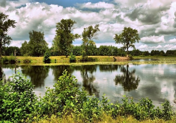 Река Сейм Курск