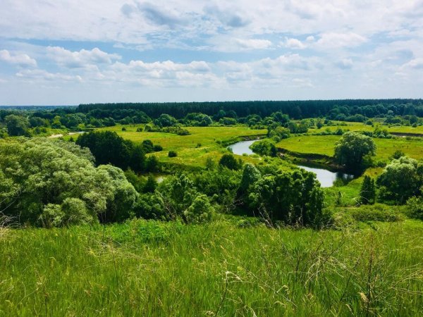 Река свапа Курская