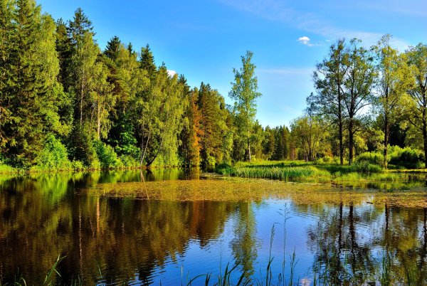 Очень красиво