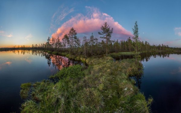Красивая яркая природа