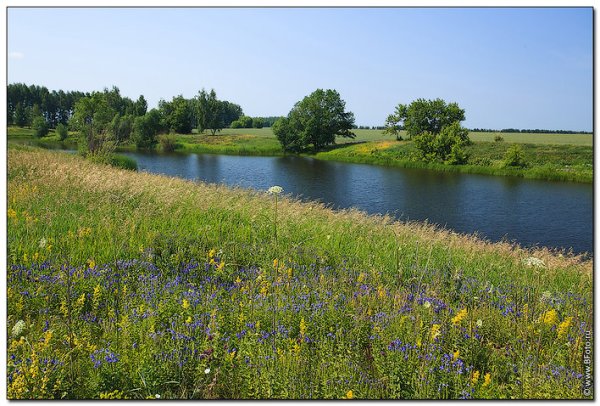Курск природа
