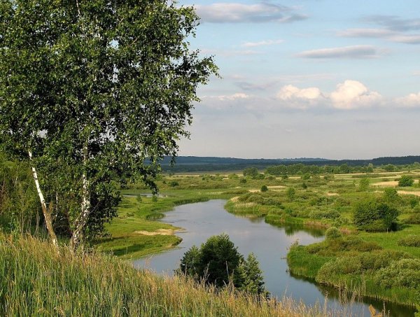 Курск природа