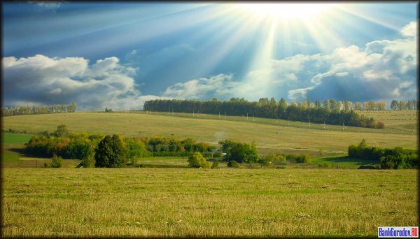 Природа Воробьевка Воронежская область