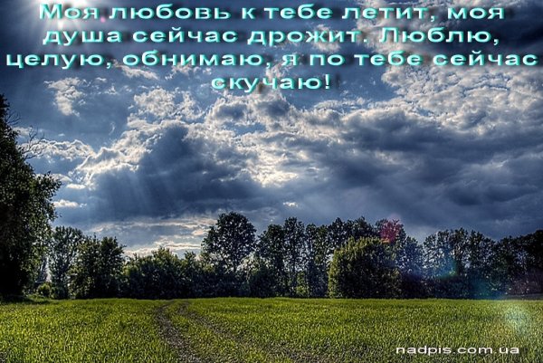 Цитаты про природу