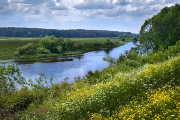Курск природа