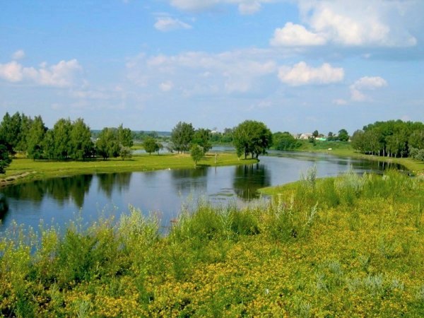 Курский край Сейм