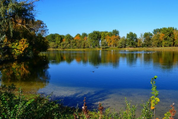 Село Званное Глушковского района Курской области
