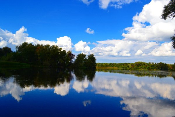 Тёткино река Сейм