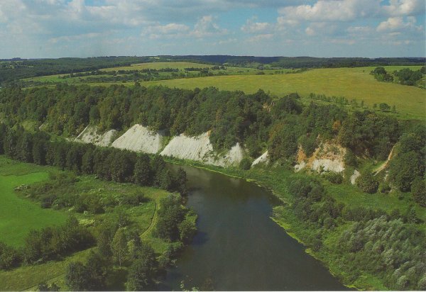 Карыжский лес Курская область