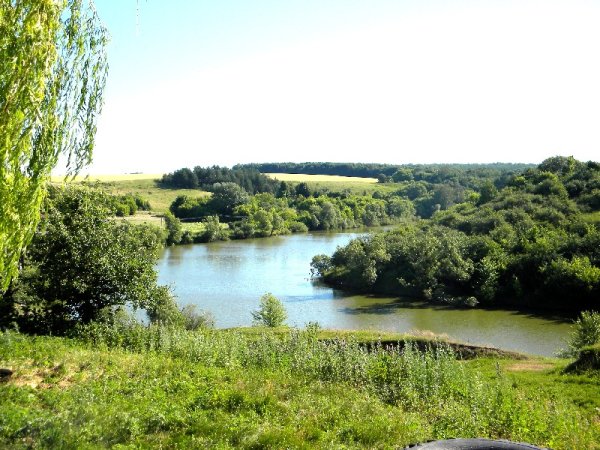 Курская область Курский Соловей