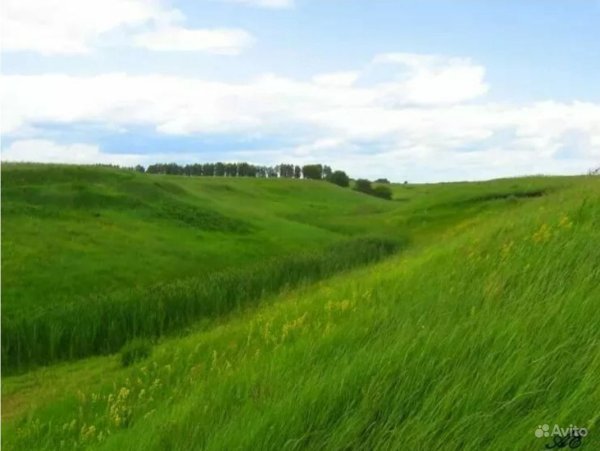Красивая природа Курской области