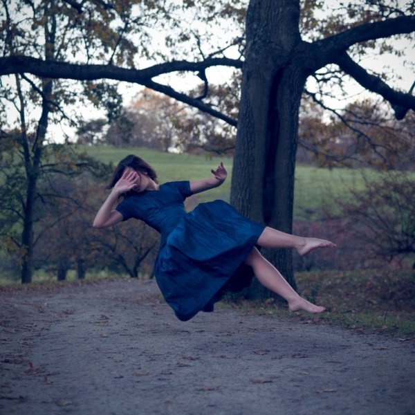 In the Woods