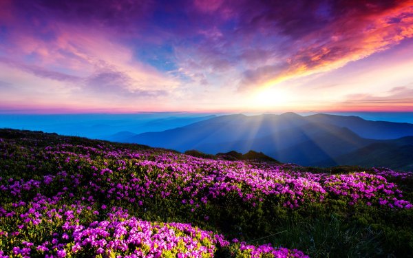 Супер красивые пейзажи