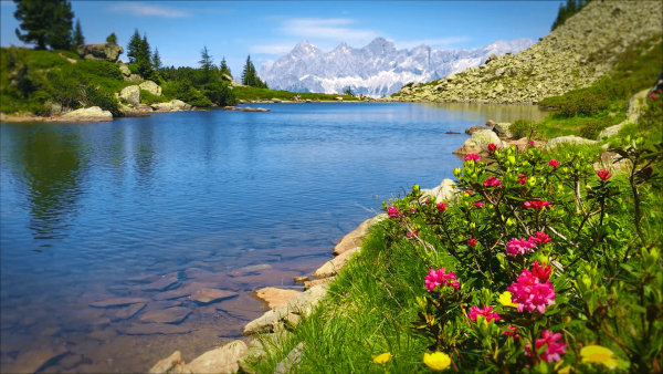 Фон природа