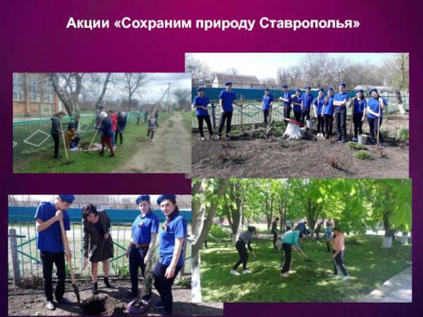 Сохраним природу Ставрополья