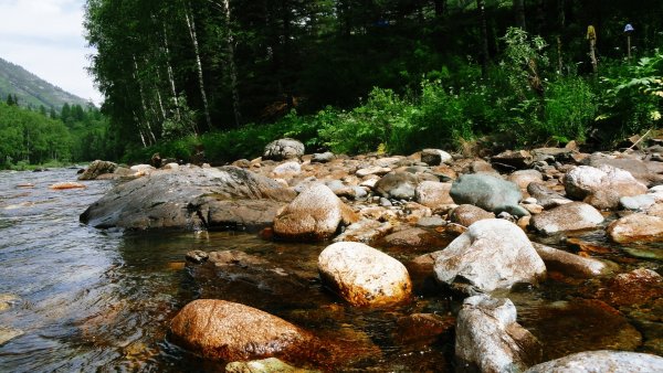 Красивые камушки на море