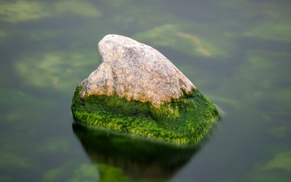 Камни в воде