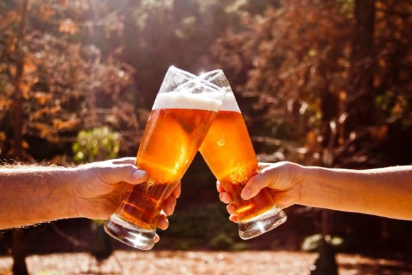 Пиво на природе