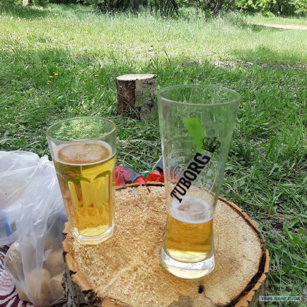 Пиво на природе