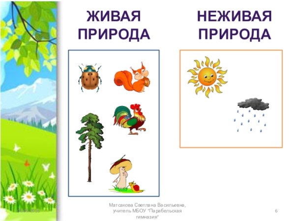 Живая неживая природа для детей