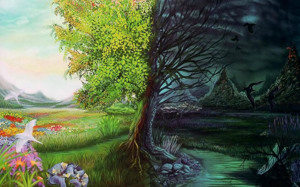 Две стороны природы