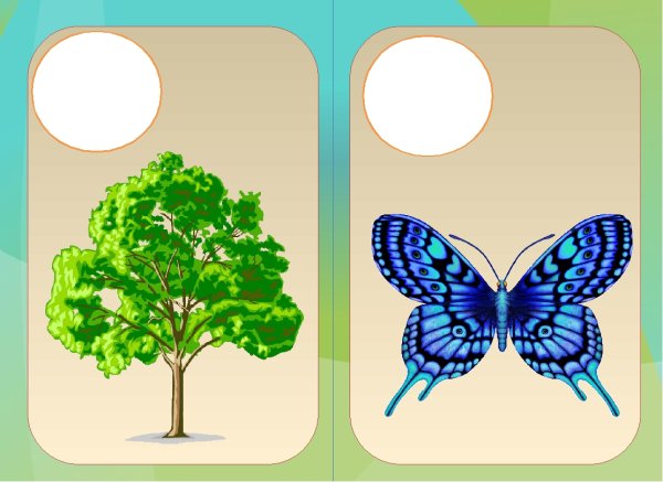 Карточки неживая природа