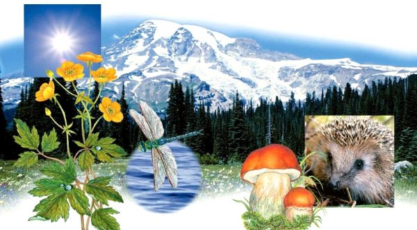 Объекты живой природы