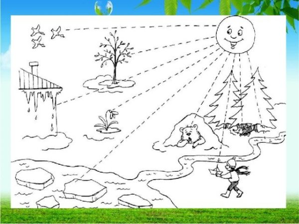 Живая и неживая природа задания для дошкольников