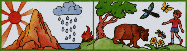 Живая и неживая природа задания для дошкольников