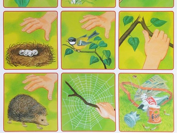 Биоценоз Лесной живые организмы