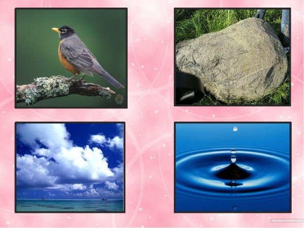 Источник воды живой